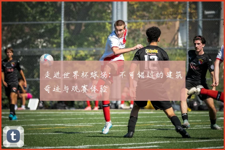 走进世界杯球场:不可错过的建筑奇迹与观赛体验