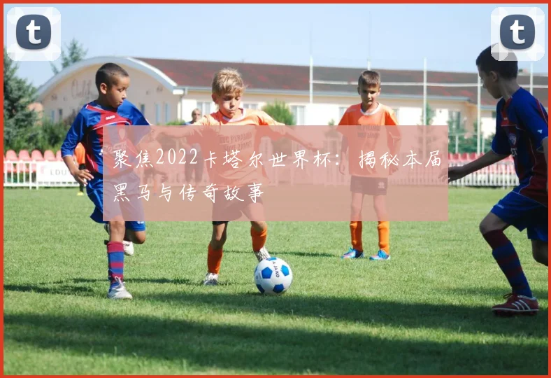 聚焦2022卡塔尔世界杯:揭秘本届黑马与传奇故事